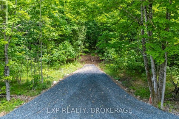 1881 Elm Tree Road, Frontenac, ON K0H1B0 Photo 5
