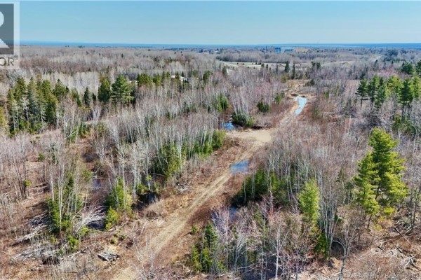 1888 Brown Court, Bathurst, NB E2A7K4 Photo 5