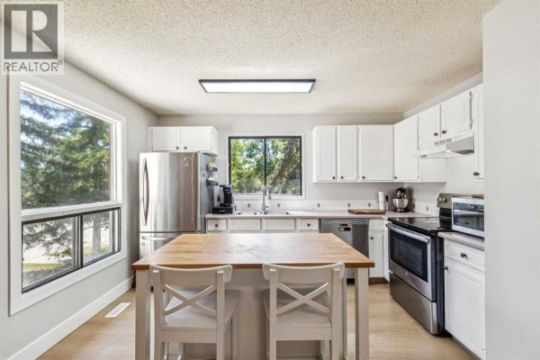 Spacious kitchen with white cabinets, butcher block island, stainless steel appliances, and large windows. - 189 Deerfield Terrace Se, Calgary