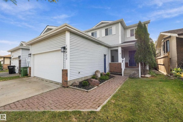 Kitchen - 18923 82 Av Nw, Edmonton, AB T5T5A3 Photo 3
