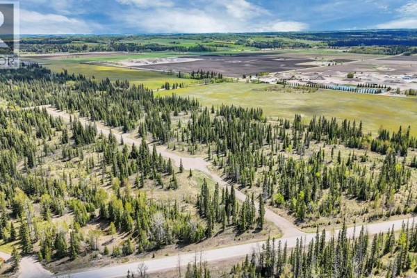 19, 34364 Range Road 42, Rural Mountain View County, AB, photo 2