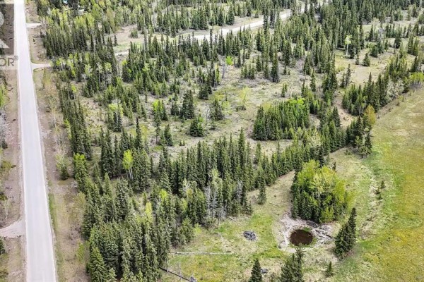 19, 34364 Range Road 42, Rural Mountain View County, AB, photo 3