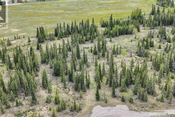 19, 34364 Range Road 42, Rural Mountain View County, AB T0M1X0 Photo 5