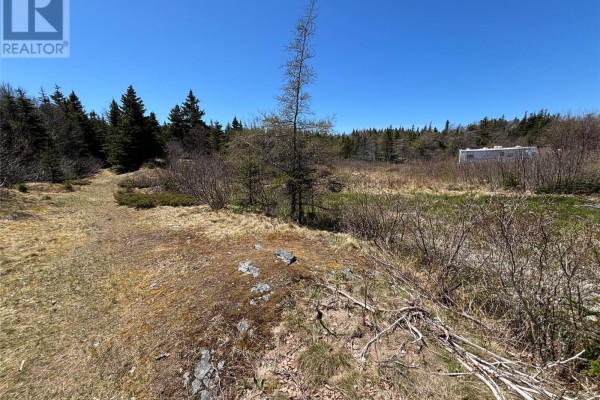 19-21 Lawrence Lane, Pouch Cove, NL A0A3L0 Photo 4