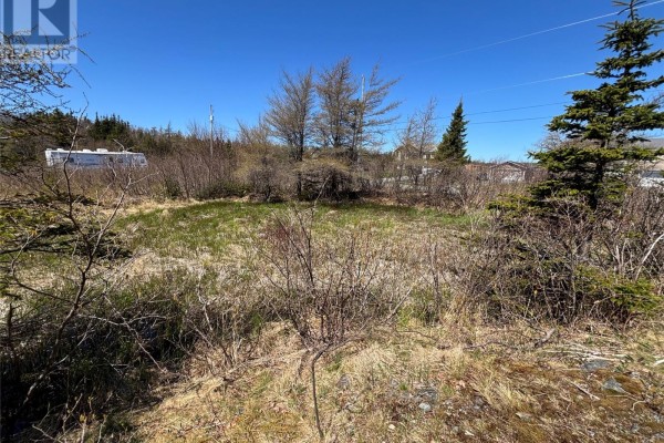 19-21 Lawrence Lane, Pouch Cove, NL A0A3L0 Photo 5
