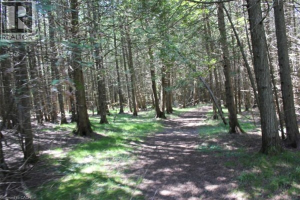 19-45 Spry Lake Road, Oliphant, ON N0H2T0 Photo 5
