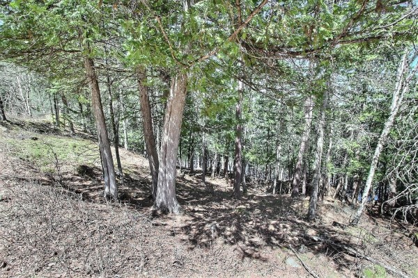 19 Ch. Du Lac-marcelin, Sainte Therese De La Gatineau, QC, photo 3