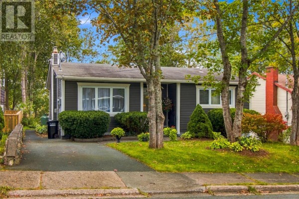 19 First Avenue, St  John S