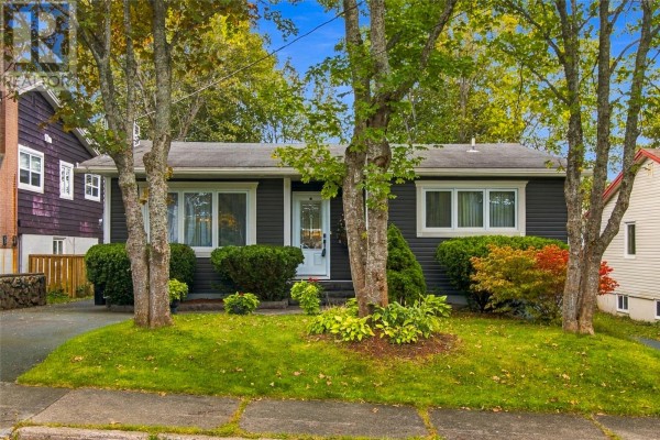 Exterior view of a dark grey siding bungalow with white trim and landscaping. - 19 First Avenue, St  John S