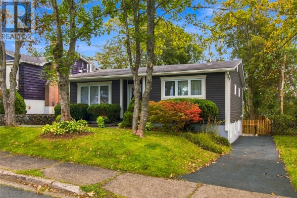 Rear side view of a dark grey siding bungalow with a wooden fence and asphalt driveway. - 19 First Avenue, St  John S