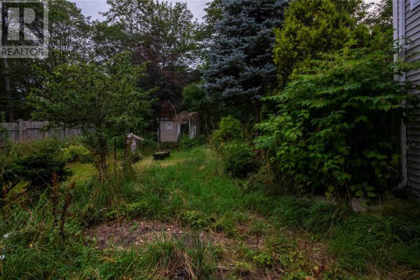 19 Golf Avenue, St  John S, NL, photo 3