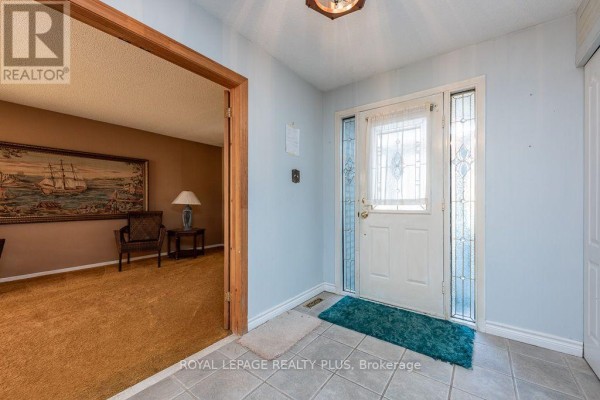 Kitchen - 19 Macdougall Drive, Brampton, ON L6S3P4 Photo 5