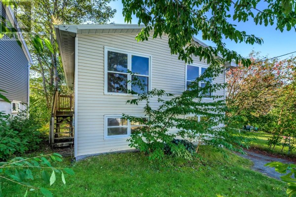 Kitchen - 19 Malta Street, St  John S, NL A1C4S8 Photo 4