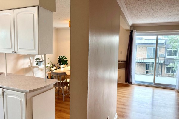 Primary Bedroom - 19 Rue Normand, #8, Gatineau, QC J8Y4C5 Photo 5