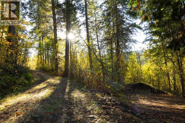 190 Twin Lakes Road, Enderby, BC V0E1V2 Photo 2