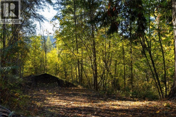 190 Twin Lakes Road, Enderby, BC V0E1V2 Photo 3