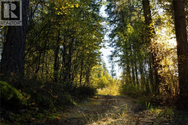 190 Twin Lakes Road, Enderby, BC V0E1V2 Photo 4