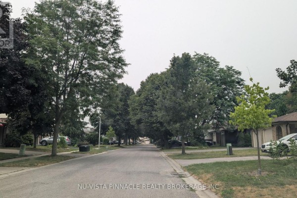 Street view of Concord Road with mature trees lining both sides and parked cars. - 192 Concord Road, London North