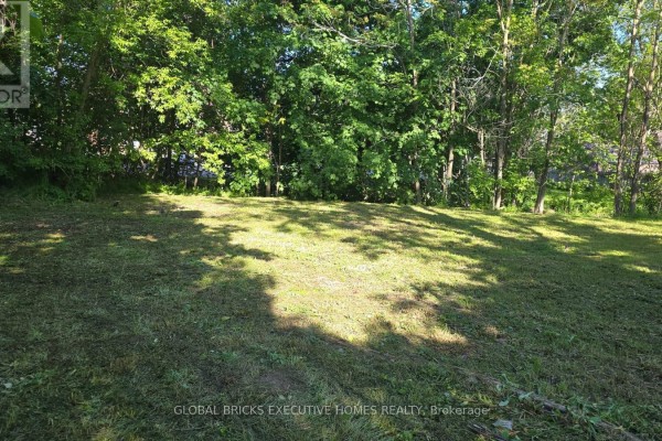 Sunny green lawn bordered by mature trees with dappled sunlight. - 192 Water Street, Lucan Biddulph