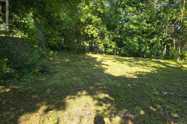 Expansive grassy area with mature trees providing shade on a summer day. - 192 Water Street, Lucan Biddulph