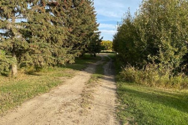 Bedroom - 19210, 474 Township Road, Rural Camrose County, AB T4V4M9 Photo 5