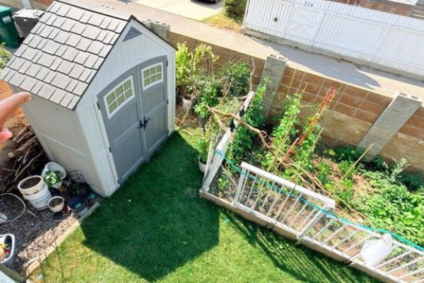 Overhead view of a backyard with a grey storage shed and green lawn. - 193 Uplands Boulevard N, Lethbridge