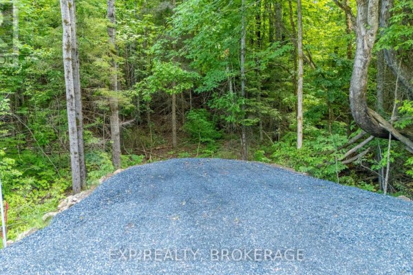 1931 Elm Tree Road, Frontenac, ON, photo 2