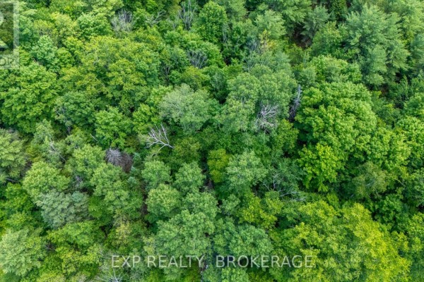 1931 Elm Tree Road, Frontenac, ON, photo 3