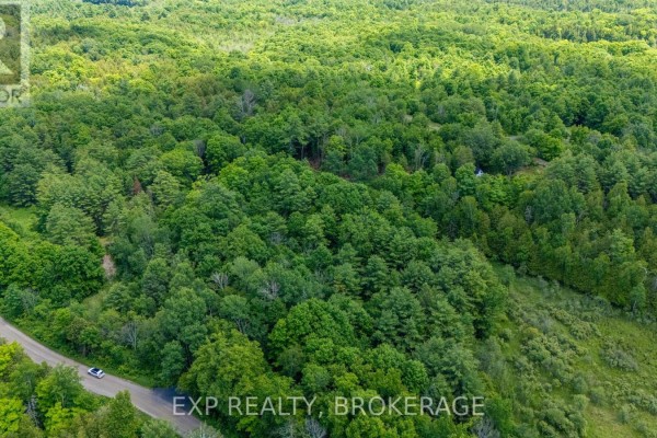1931 Elm Tree Road, Frontenac, ON K0H1B0 Photo 4
