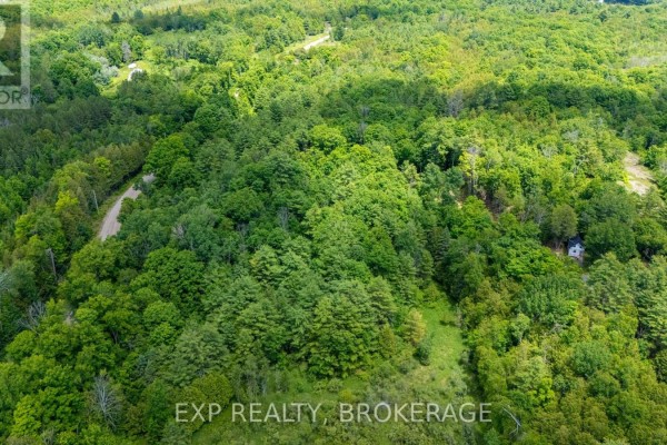 1931 Elm Tree Road, Frontenac, ON K0H1B0 Photo 5