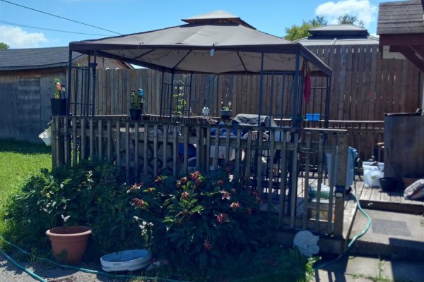 Wooden deck in the backyard with a gazebo, plants, and outdoor furniture. - 194 Wellington St E, Sault Ste  Marie