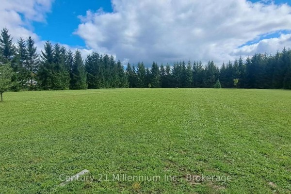 Expansive green lawn with mowed stripes bordered by a dark line of evergreen trees. - 194247 Grey Road 13, Grey Highlands