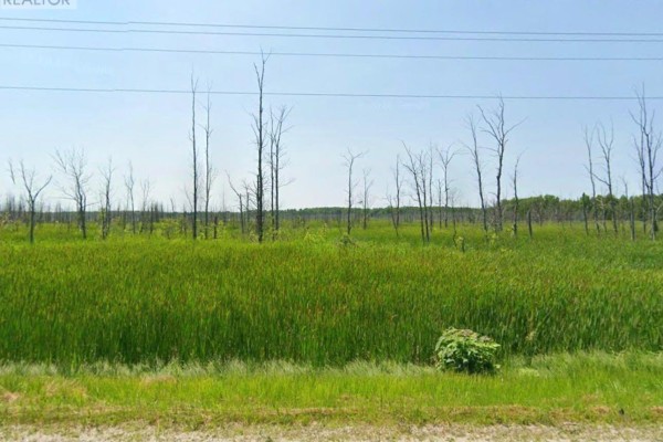 19442 Highway 6 Highway, South Bruce Peninsula, ON N0H2T0 Photo 2