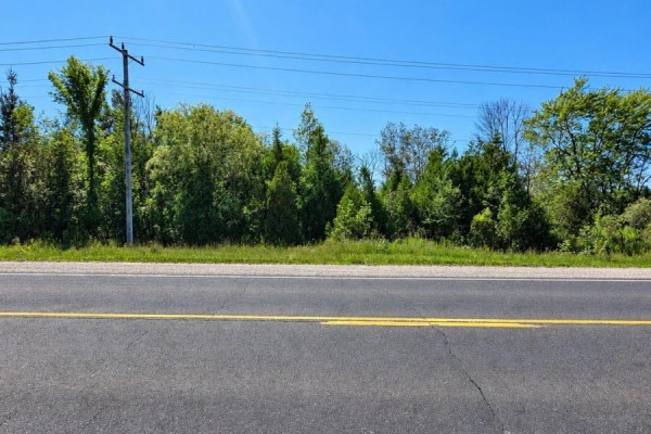 19442 Highway 6 Highway, South Bruce Peninsula, ON N0H2T0 Photo 3