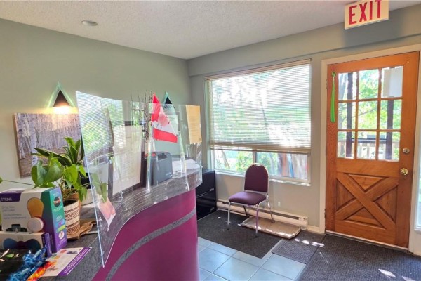 195 Pine Street, Sudbury, ON P3C1X4 Photo 4
