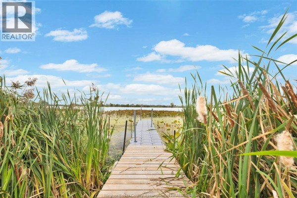 Wooden boardwalk extending through tall reeds and lily pads towards a calm body of water. - 1957 Front Road North, Amherstburg