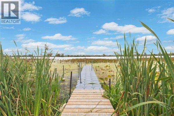 A narrow wooden and plastic dock surrounded by reeds and lily pads on a lake. - 1957 Front Road North, Amherstburg