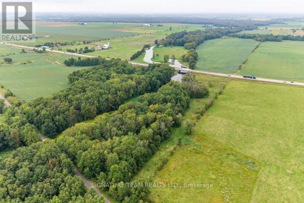 Den - 19573 17 Highway, Whitewater Region, ON K0J1K0 Photo 4