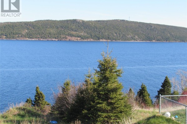 196 Corporal Jamie Murphy Drive, Conception Harbour, NL A0A1Z0 Photo 5