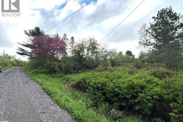 196 Ledge Road, Dufferin, NB E3L3P2 Photo 2