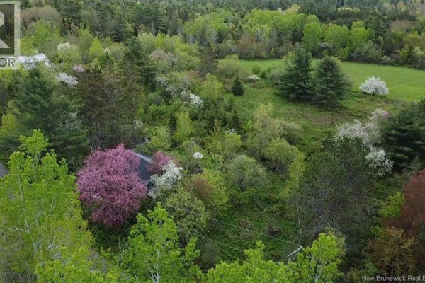 196 Ledge Road, Dufferin, NB E3L3P2 Photo 3