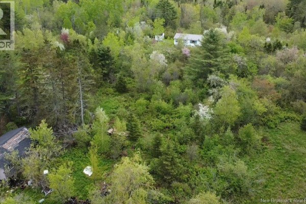 196 Ledge Road, Dufferin, NB E3L3P2 Photo 4