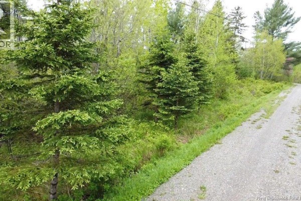 196 Ledge Road, Dufferin, NB E3L3P2 Photo 5