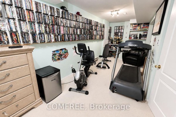Treadmill, recumbent bike, and movie shelves - 1960 Rolling Brook Drive Ottawa