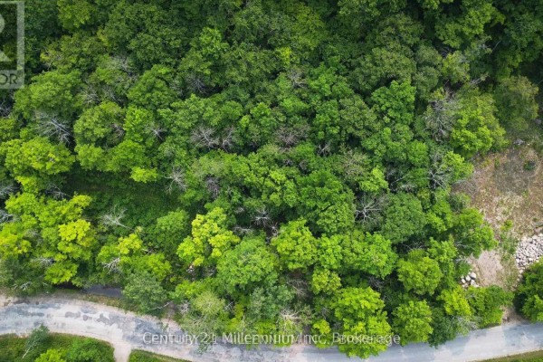 1963 Lot 52 Tiny Beaches Road N, Tiny, ON, photo 3