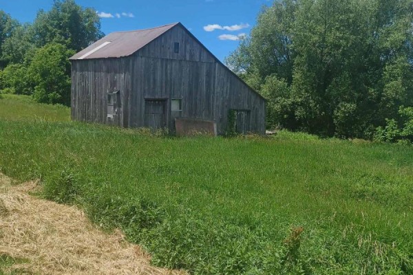 Exterior of a weathered grey wooden barn with a metal roof, surrounded by tall grass and trees. - 1974 County Road 2 Road E, Port Hope