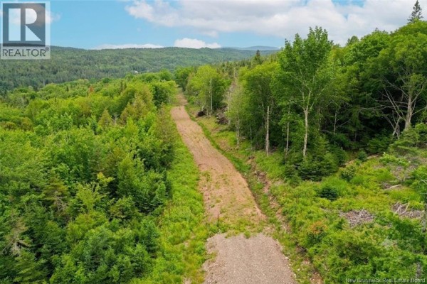 198 Acres Damascus Road, Damascus, NB E5N4A6 Photo 5
