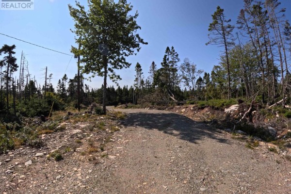 1985 Ostrea Lake Road, Ostrea Lake, NS, photo 2