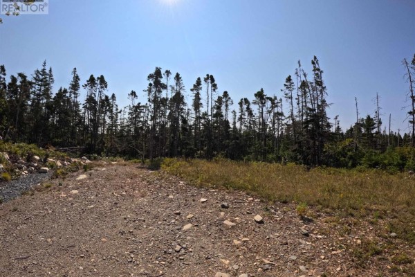 1985 Ostrea Lake Road, Ostrea Lake, NS, photo 3