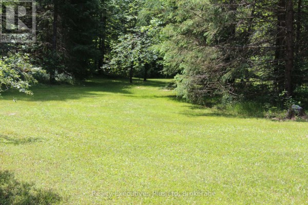 1988 Royston Road, Ryerson, ON P0A1C0 Photo 4